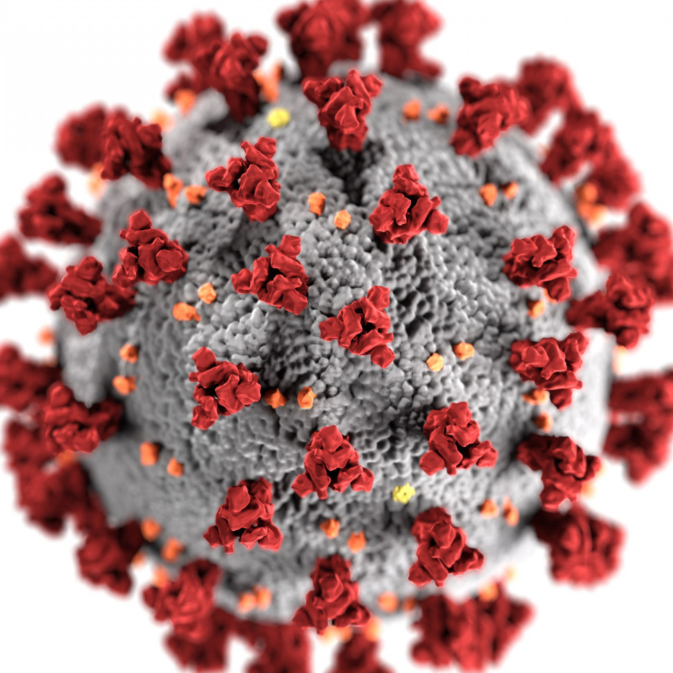 Veelgestelde vragen over het coronavirus