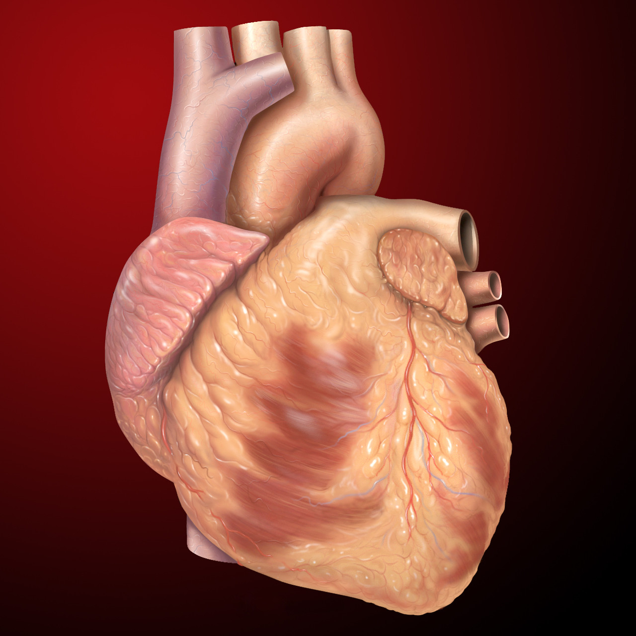 Cardiotoxicity risks vary per chemotherapy type